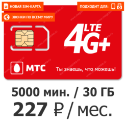 мегасимка что это такое