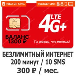Sim-карта М-Сеть Выгодный 300 NEW (саморегистрация)