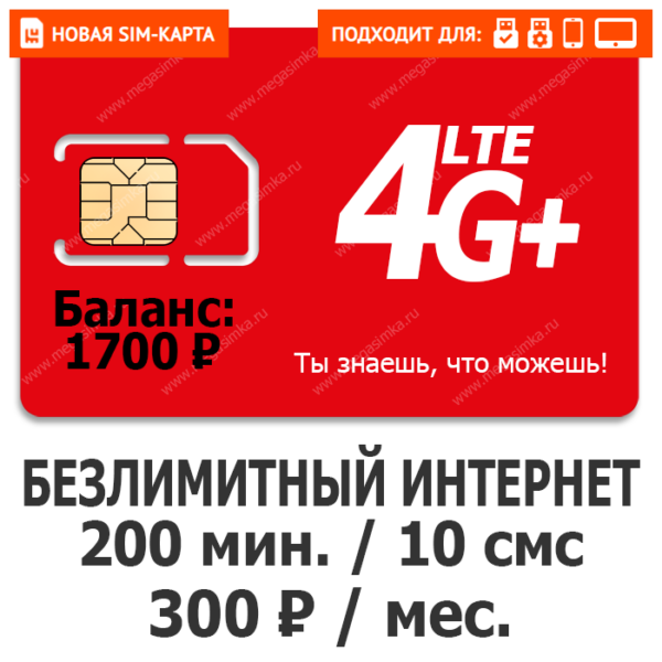 Sim-карта М-Сеть Выгодный 300 NEW (саморегистрация)