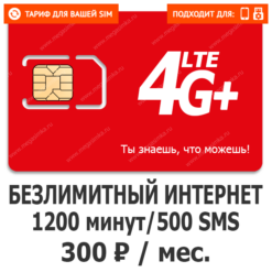 Тариф М-Сеть NEW LEVEL 300 (саморегистрация)